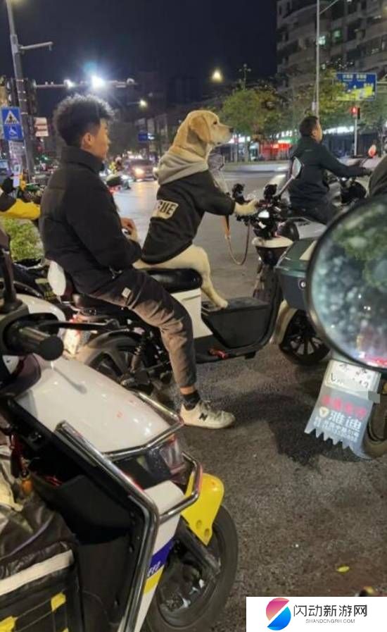极乐软件园