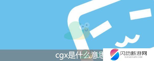 cgx是什么意思