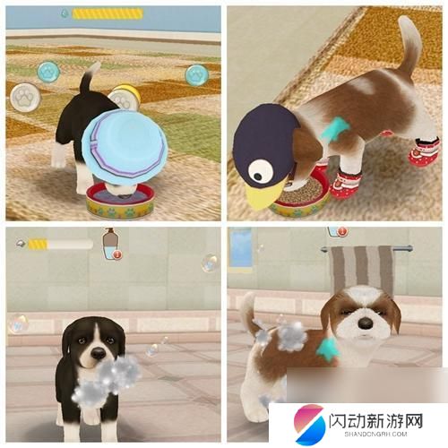 心动小狗如何养护 心动小狗养成技巧