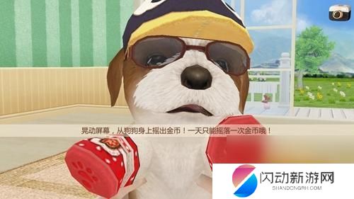 心动小狗如何养护 心动小狗养成技巧