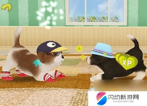 心动小狗如何养护 心动小狗养成技巧