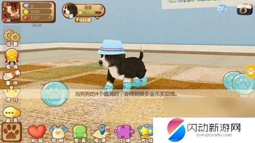 心动小狗如何养护 心动小狗养成技巧