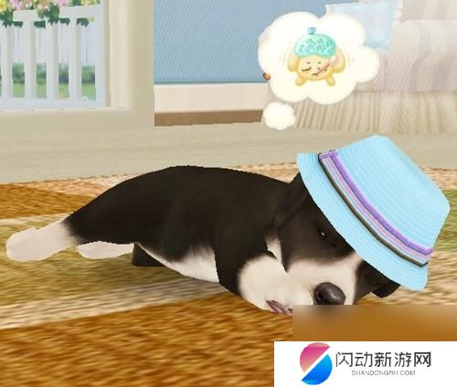 心动小狗如何养护 心动小狗养成技巧