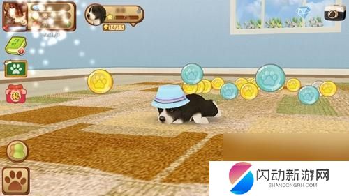 心动小狗如何养护 心动小狗养成技巧