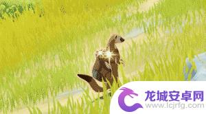 原神盗宝鼬击杀技巧 原神盗宝鼬击杀技巧分享