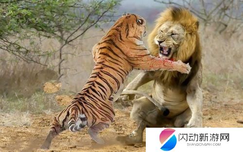 斗兽棋如何下赢对方 怎样下斗兽棋规则