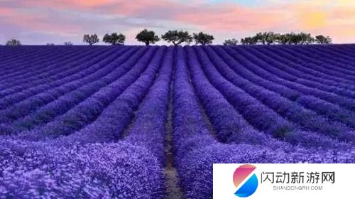 水箱如何除蚊子 室内赶走蚊子的方法