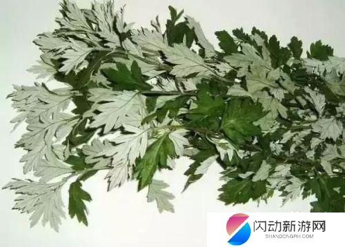 水箱如何除蚊子 室内赶走蚊子的方法
